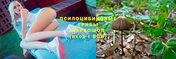 первитин Алексеевка