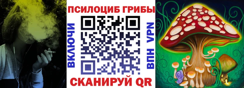 Галлюциногенные грибы Cubensis  закладки  Карпинск 